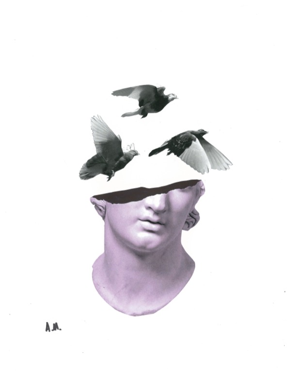 BirdBrain II