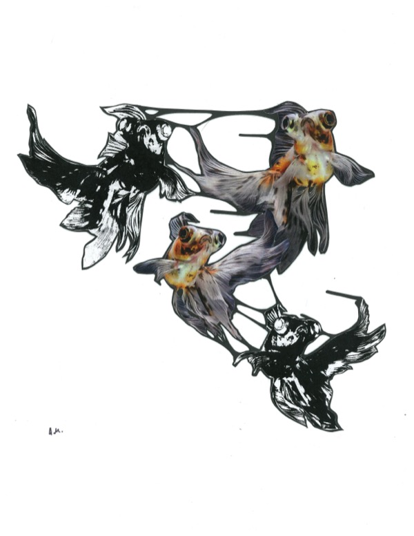 Fish Souls