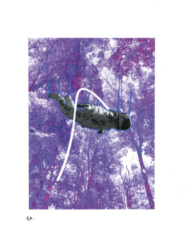 purple forest