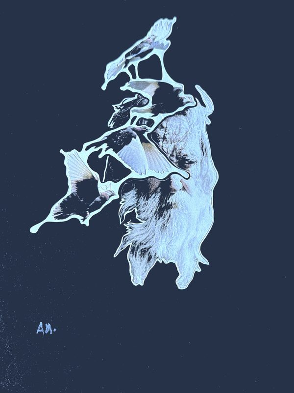 Untitled